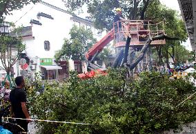 Typhoon Co-may Hit Suzhou