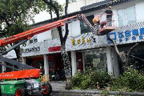 Typhoon Co-may Hit Suzhou