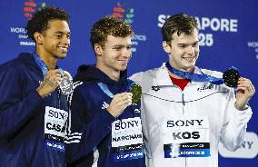 Swimming: World aquatics championships