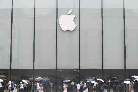 Apple Revenue Growth