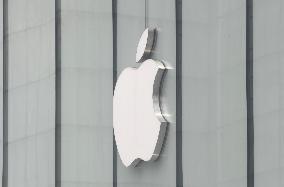 Apple Revenue Growth