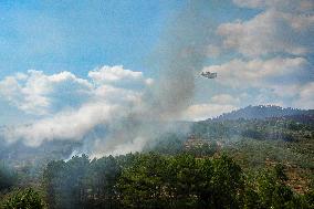 Troops Work to Control Fire Near Avellanar Caceres - Spain
