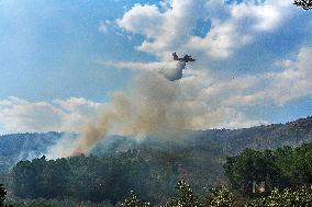 Troops Work to Control Fire Near Avellanar Caceres - Spain