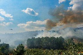 Troops Work to Control Fire Near Avellanar Caceres - Spain