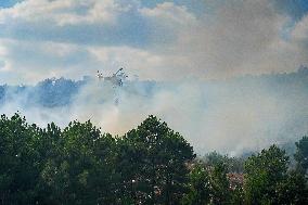 Troops Work to Control Fire Near Avellanar Caceres - Spain