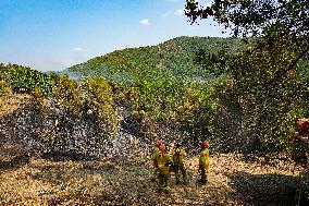 Troops Work to Control Fire Near Avellanar Caceres - Spain