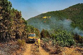 Troops Work to Control Fire Near Avellanar Caceres - Spain
