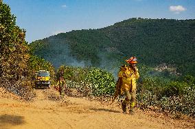 Troops Work to Control Fire Near Avellanar Caceres - Spain