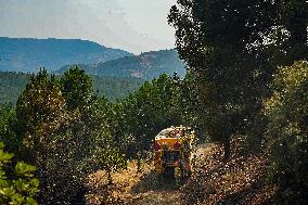 Troops Work to Control Fire Near Avellanar Caceres - Spain
