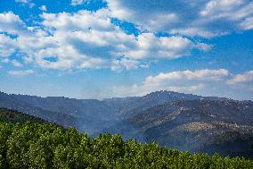 Troops Work to Control Fire Near Avellanar Caceres - Spain