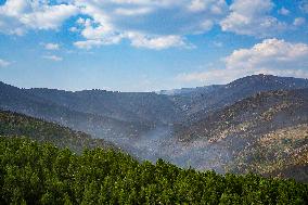 Troops Work to Control Fire Near Avellanar Caceres - Spain