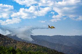 Troops Work to Control Fire Near Avellanar Caceres - Spain