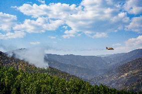 Troops Work to Control Fire Near Avellanar Caceres - Spain