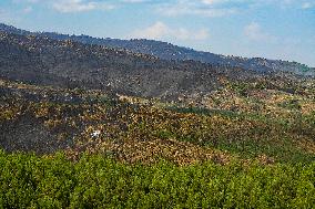 Troops Work to Control Fire Near Avellanar Caceres - Spain