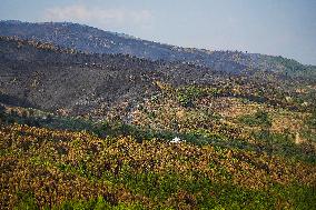 Troops Work to Control Fire Near Avellanar Caceres - Spain