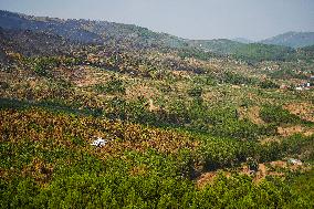 Troops Work to Control Fire Near Avellanar Caceres - Spain