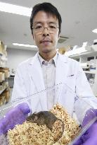 Mouse born using iPS cell