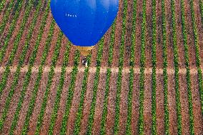 International Hot Air Balloon Regatta - Spain