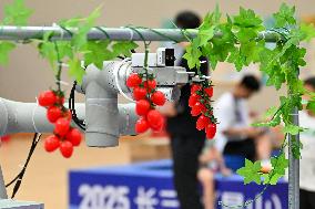2025 Yangtze River Delta (Kunshan) Embodied Intelligent Scene Application Competition