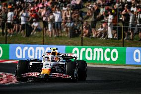 MOTORI - Formula 1 - Lenovo Hungarian Grand Prix 2025
