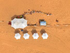 Inner Mongolia Erdos Desert Scenery - China