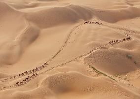 Inner Mongolia Erdos Desert Scenery - China