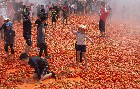 Hwacheon Tomato Festival - South Korea