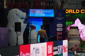 World Aquatics Championships 2025 - Singapore