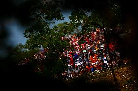MOTORI - Formula 1 - Lenovo Hungarian Grand Prix 2025