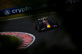 MOTORI - Formula 1 - Lenovo Hungarian Grand Prix 2025