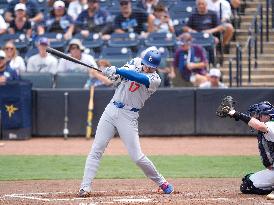 Baseball:Shohei Ohtani