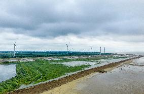 Chengzi Lake Ecological Island Experimental Zone