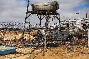 Settlers Attack Peace Activists in West Bank