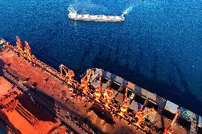 Imported Iron Ore