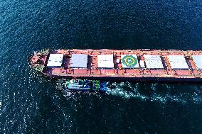 Imported Iron Ore