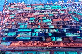 Imported Iron Ore