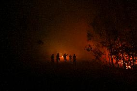 Fire in Ponteceso (A Coruna) forces residents of Balarés to evacuate and several roads to be cut off