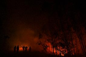 Fire in Ponteceso (A Coruna) forces residents of Balarés to evacuate and several roads to be cut off
