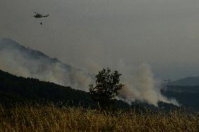The forest fire in Vilardevós (Ourense) is still active.
