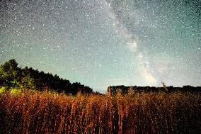 Agriculture Crops Starry Sky - China
