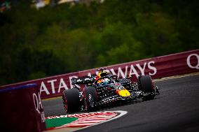 F1 Hungarian Grand Prix - Race Day - Budapest
