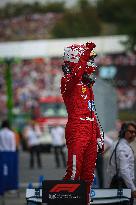 F1 Hungarian Grand Prix - Race Day - Budapest