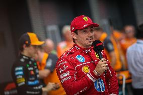 F1 Hungarian Grand Prix - Race Day - Budapest