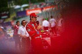 F1 Hungarian Grand Prix - Race Day - Budapest