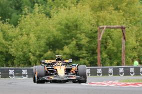 F1 Hungarian Grand Prix - Race Day - Budapest