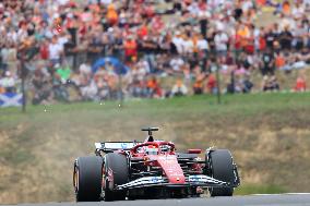 F1 Hungarian Grand Prix - Race Day - Budapest