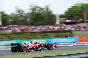 F1 Hungarian Grand Prix - Race Day - Budapest