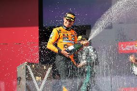 F1 Hungarian Grand Prix - Race Day - Budapest