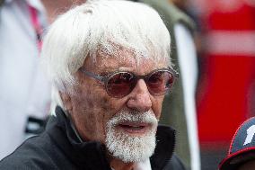 F1 Hungarian Grand Prix - Race Day - Budapest