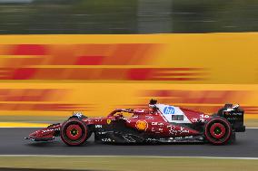 F1 Hungarian Grand Prix - Race Day - Budapest